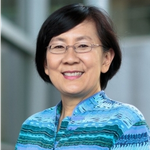 Professor Paulin Tay Straughan (Director, Principal Investigator of Centre for Research on Successful Ageing (ROSA))